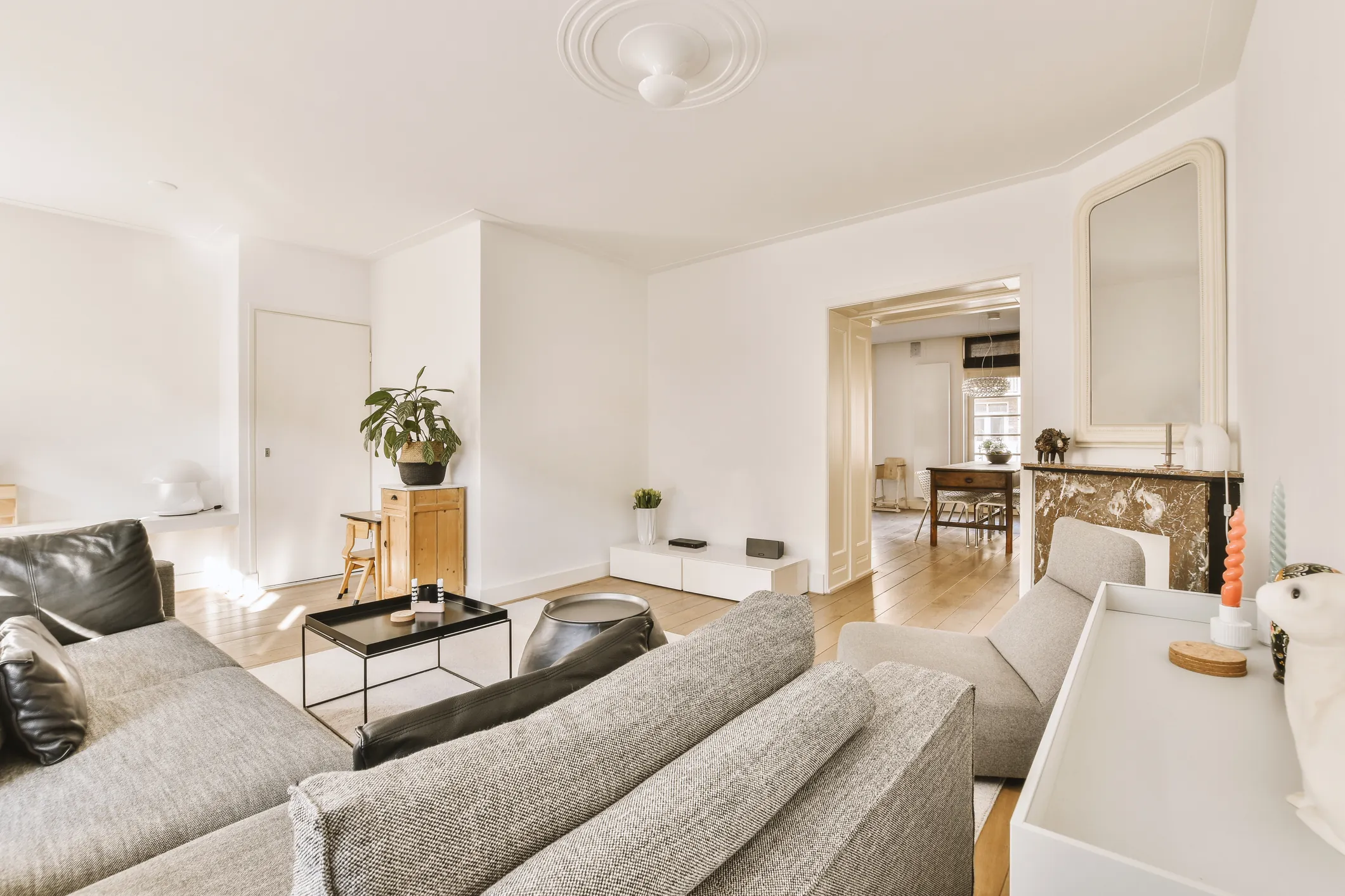 Elegant living room interior remodel